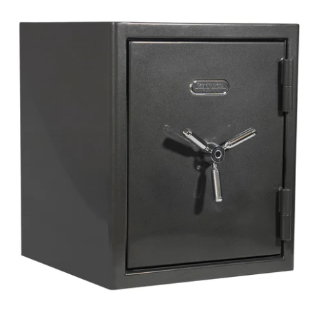 Sanctuary SA-PLAT3-BIO-DP Platinum Home Safe Review - Expert Safe Reviews